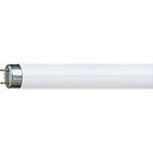 Osram Lumilux T8 Lumilux 840 3350lm 4000K G13 36W