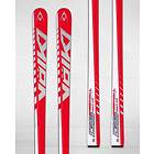 Völkl Racetiger Speedwall GS R WC