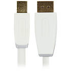 Bandridge DisplayPort - DisplayPort Mini 1m