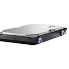 HP 1BD142-021 500GB