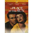 A Place in the Sun (UK) (DVD)