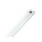 Osram Lumilux T8 4000K G13 70W (1800mm)
