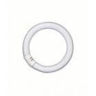 Osram Fluorescent Circular 1350lm 2700K G10q 22W