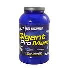 Pro Nutrition Gigant Pro Mass 2,8kg