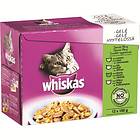 Whiskas Pouches Adult Jelly 12x0.1kg