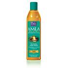 Dark and Lovely Amla Legend Rejuvenating 3in1 Shampoo 250ml