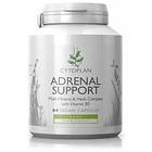 Cytoplan Adrenal Support 60 Capsules