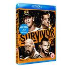 WWE - Survivor Series 2013 (UK) (Blu-ray)
