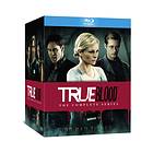 True Blood - Season 1-7 (Blu-ray)