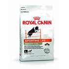 Royal Canin LHN Sporting Life Agility 4100 Large 15kg
