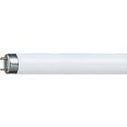 Osram Lumilux T8 835 6200lm 3500K G13 70W