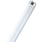 Osram Lumilux T8 840 3300lm 4000K G13 38W