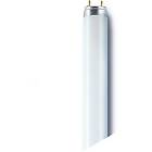 Osram Lumilux T8 3350lm 2700K G13 36W (Dimmable)