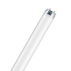 Osram Lumilux T8 880 4900lm 8000K G13 58W