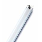 Osram Lumilux T8 880 2350lm 8000K G13 30W (Dimbar)