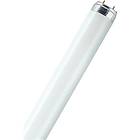 Osram Lumilux T8 840 1900lm 4000K G13 23W