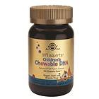 Solgar Children's Chewable DHA 90 Kapslar