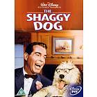 The Shaggy Dog (1959) (UK) (DVD)