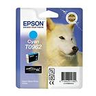 Epson T0962 (Cyan)