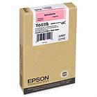 Epson T603B (Magenta)