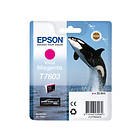 Epson T7603 (Intensiv Magenta)