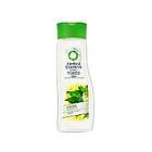 Herbal Essences Naked Shine Shampoo 400ml