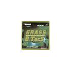 Tibhar Grass