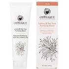 Essential Care Odylique Lemon & Tea Tree Purifying Wash 200ml