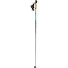 Rex Ski Altus