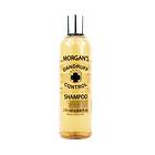 Morgan's Dandruff Control Shampoo 250ml