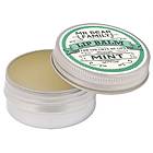 Mr Bear Family Mint Lip Balm Pot 15ml