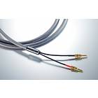 Siltech Explorer 180L 2Banana - 2Banana (par) 2,5m