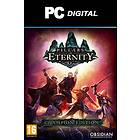 Pillars of Eternity - Champion Edition (PC)