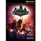 Pillars of Eternity - Hero Edition (PC)