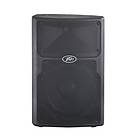 Peavey PVXp 10 (st)