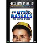 Best of Spanky - Little Rascals (DVD)