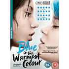 Blue Is the Warmest Colour (UK) (DVD)