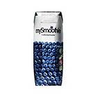 mySmoothie Fibre Wild Blueberry Carton 0,25l