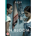 In Bloom (UK) (DVD)