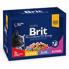 Brit Premium Cat Pouches For Wellness And Beauty 12x0,1kg
