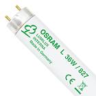 Osram Lumilux T8 3100lm 2700K G13 36W (L1000)