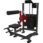 Exigo Selectorised Back and Abdominal Combo