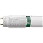 Crompton LED T8 Full Glass Tube 810lm 4000K G13 9W