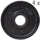 BodyRip Olympic Weight Plates 4x2.5kg