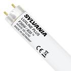 Sylvania T8 Luxline Plus 835 3350lm 3500K G13 36W