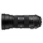 Sigma 150-600/5.0-6.3 DG OS HSM Sports for Sony A