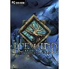 Icewind Dale: Enhanced Edition (PC)