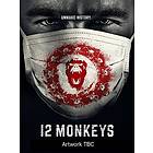 12 Monkeys - Season 1 (UK) (DVD)