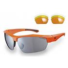 Sunwise Shipley