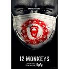 12 Monkeys - Säsong 1 (DVD)
